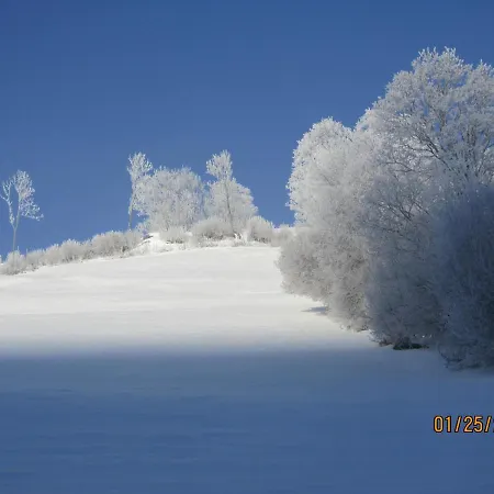 Schilcher Apartman *