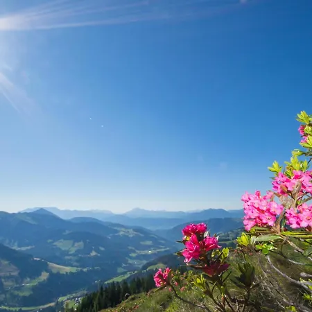 Apartman Schilcher Oberau