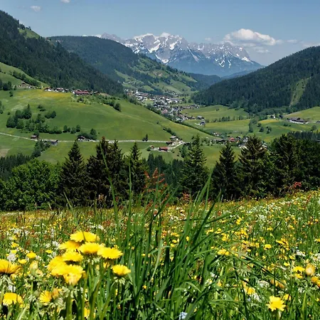 Schilcher Appartement Oberau