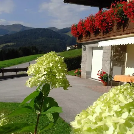 Apartman Schilcher *