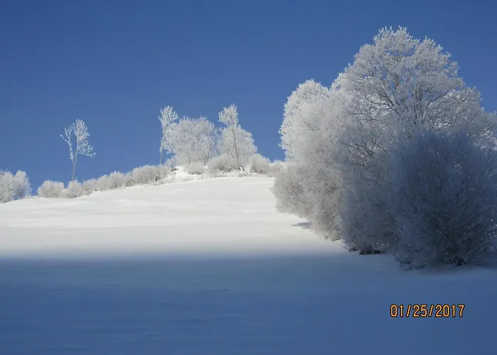 Schilcher Lägenhet *