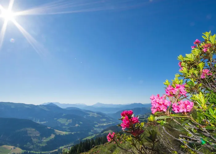 Lägenhet Schilcher Oberau